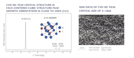 Veecok zuzendutako epitaxia prozesuetan suszeptore siccoideen eginkizuna